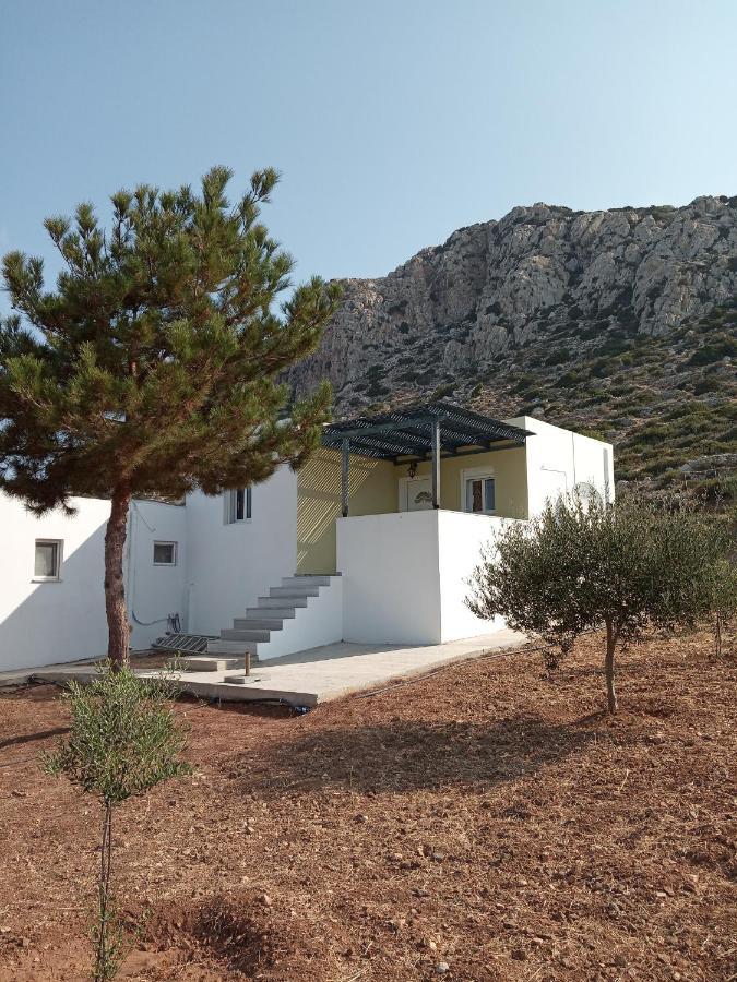 Apartment Albatros & Lefkos (Karpathos)