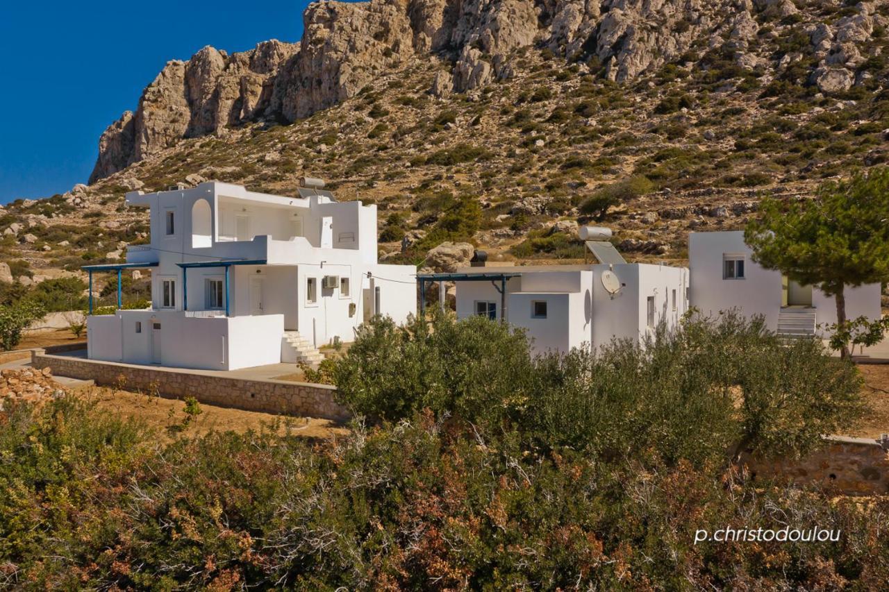 Apartment Albatros &
