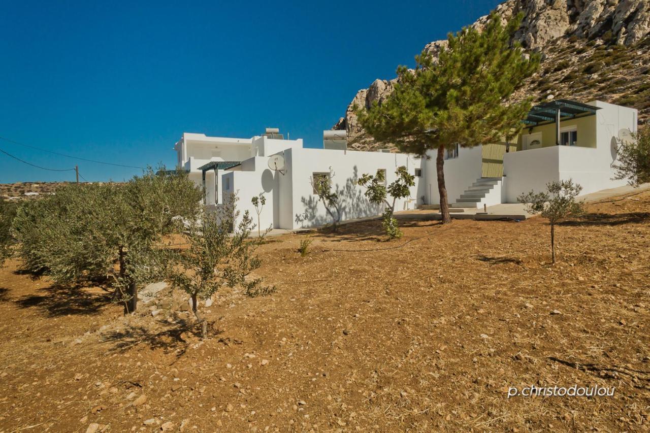 Apartament Albatros & *
